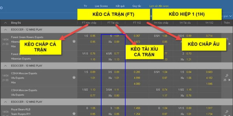 Tất cả các bảng kèo tại thể thao Kubet được thiết kế đơn giản, tối ưu